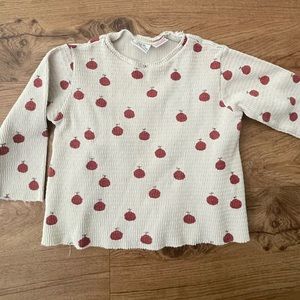 Zara Textured Long Sleeve Apple Shirt